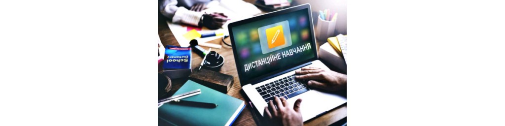 Рік дистанційного навчання у школах: досвід України та Чехії