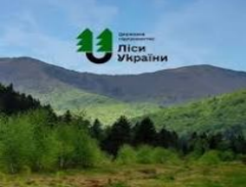 Лісники інформують про проведення лісогосподарських заходів в 2024 році 