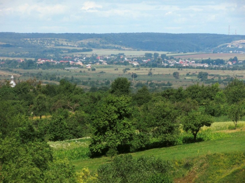 «ЗАЛІЗНА СОТНЯ» З РОМАНОВА